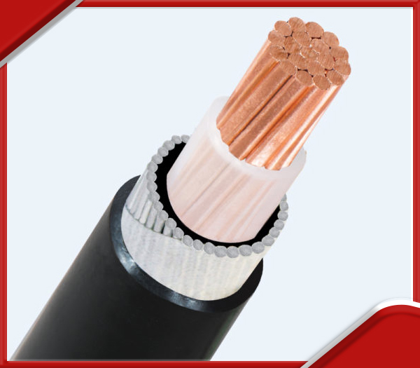 Cáp trung thế 1 lõi cấp điện áp 3/6(7,2)KV LS Vina
