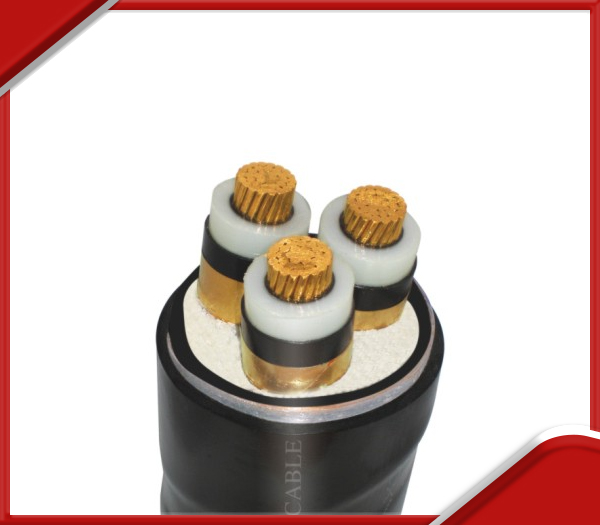 Cáp điện trung thế LS Vina 3 lõi 12.7 / 22 (24) KV