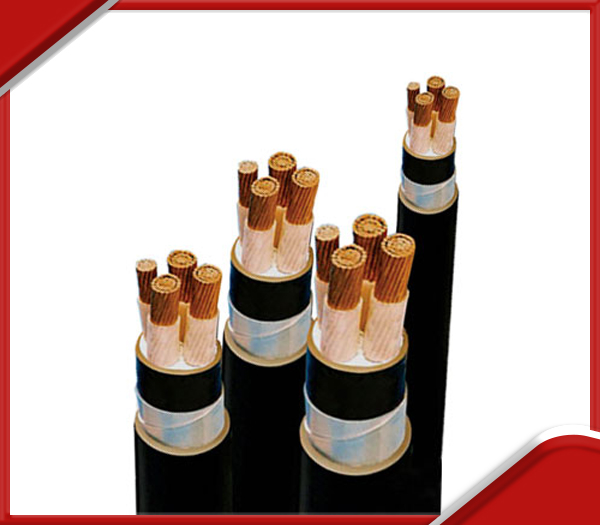 Cáp đồng ngầm hạ thế 0,6/1KV - Trần Phú