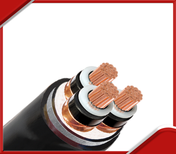 Cáp ngầm trung thế Cu/XLPE/PVC/DSTA/PVC 12/20(24)kV - LS Vina
